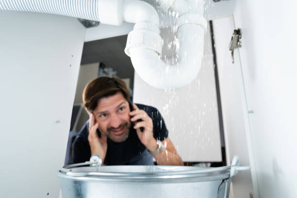 Best Emergency Plumbing Repair  in Webster, SD