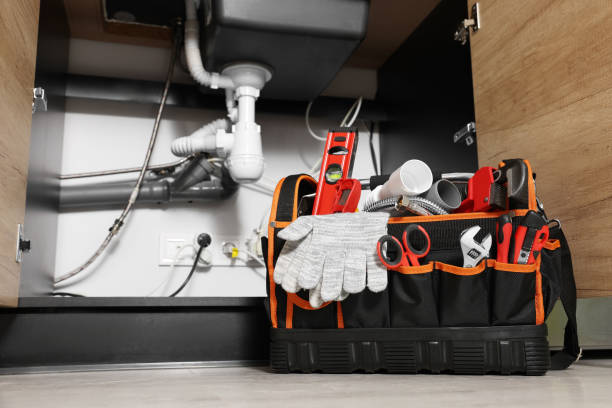 Best Plumbing Inspection Services  in Webster, SD