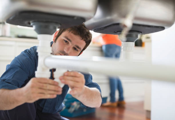 Best Clogged Drain Plumber  in Webster, SD