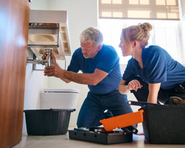 Best Local Plumber Services  in Webster, SD